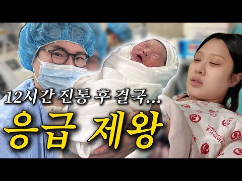 2025. 02. 28.  유튜브 뜨는 동영상 TOP 4