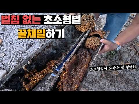 03월 18일  Youtube 동영상 HOT 4