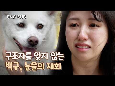 2025. 05. 03. 금일의 Youtube 뜨는 동영상 HOT 4