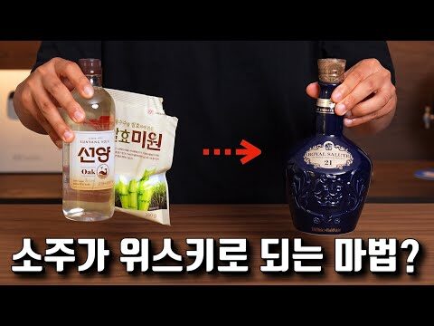 2025. 06. 11.  유튜브 뜨는 동영상 TOP 4