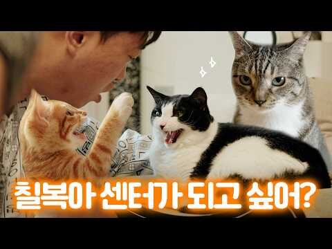 오늘의 Youtube TOP 4 – 2025. 06. 27.