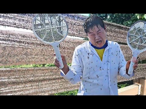 2025. 07. 04.  유튜브 뜨는 동영상 TOP 4