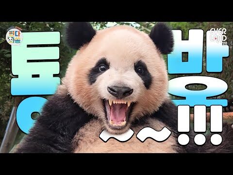 2025. 07. 05. 오늘의 유튜브 뜨는 동영상 TOP 4
