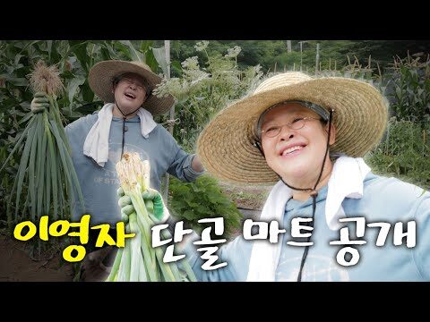 07월 07일 금일의 Youtube 동영상 TOP 4