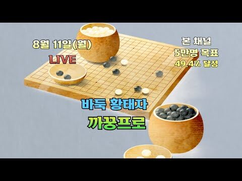 08월 11일 금일의 Youtube 동영상 TOP 4