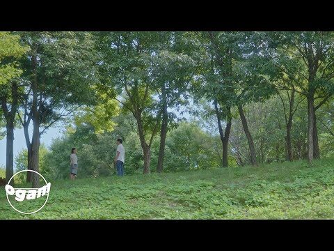 10월 30일 금일의 유튜브 동영상 TOP 4