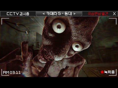 금일의 유튜브 HOT 4 – 2025. 12. 24.